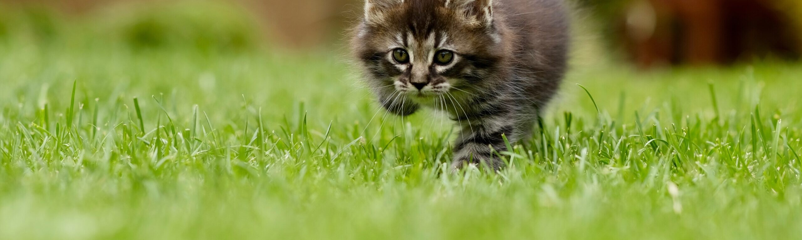 Quelle: piaxaby